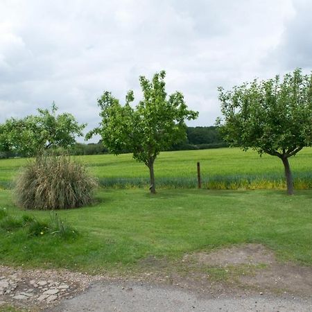 Woodview B Colchester Birch Esterno foto