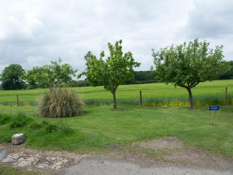 Woodview B Colchester Birch Esterno foto